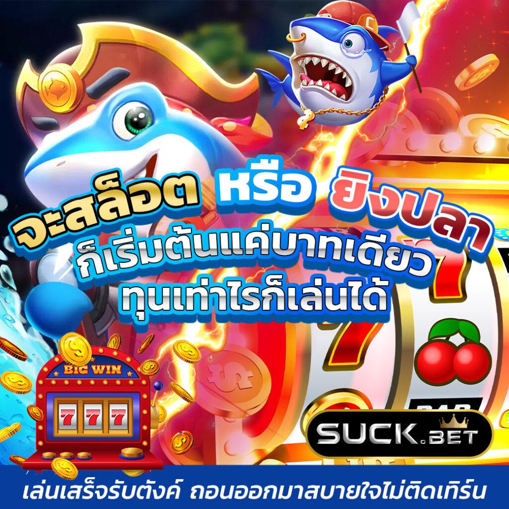Maxwin99 คาสิโนออนไลน์ยอดนิยม รวมเกมเดิมพันทันสมัย 2024