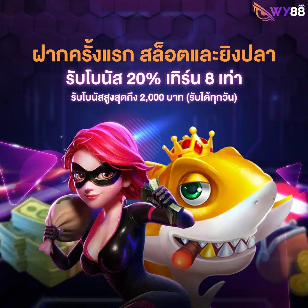 ทาง เข้า tiger711 เว็บเดิมพันยอดนิยม รวมเกมใหม่ล่าสุด คุ้มค่าที่สุด