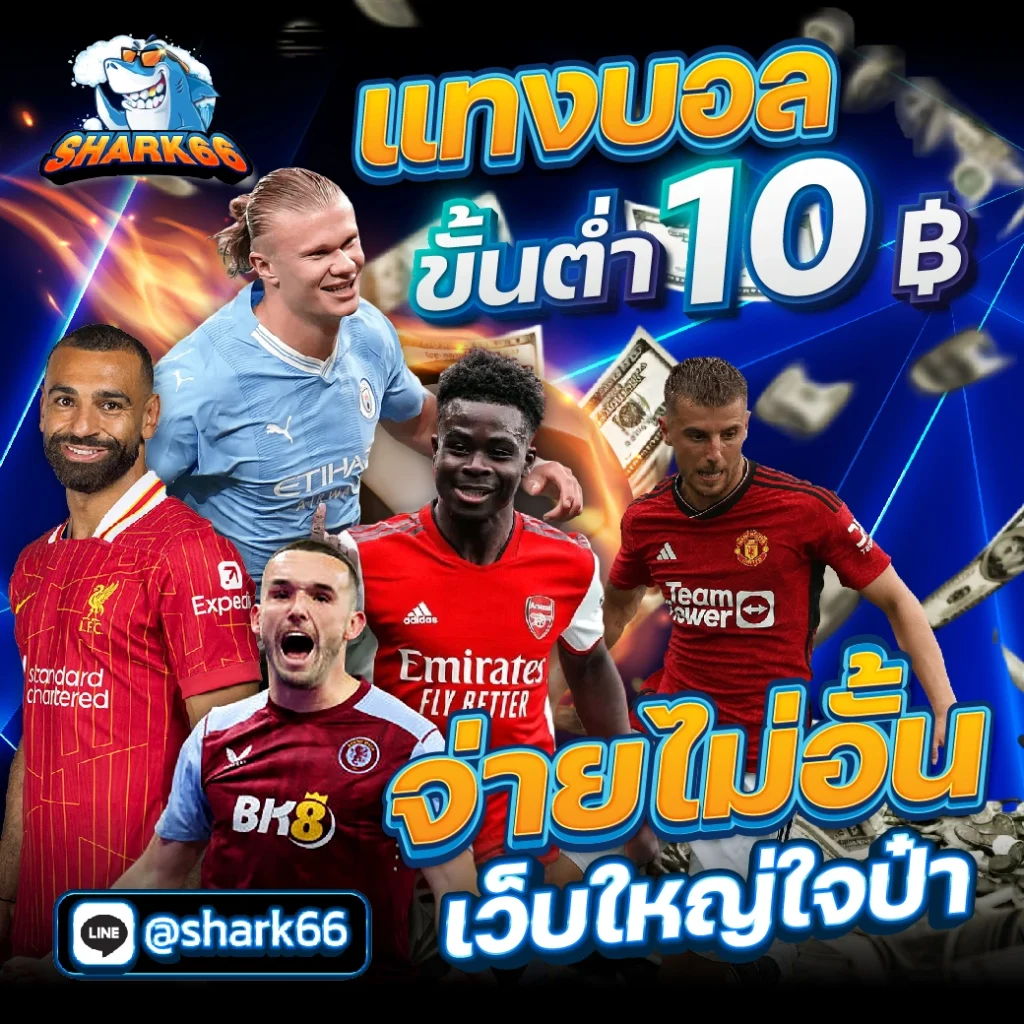 ราคาบอลพร้อมราคา เดิมพันง่าย ดูอัปเดตสดทุกคู่