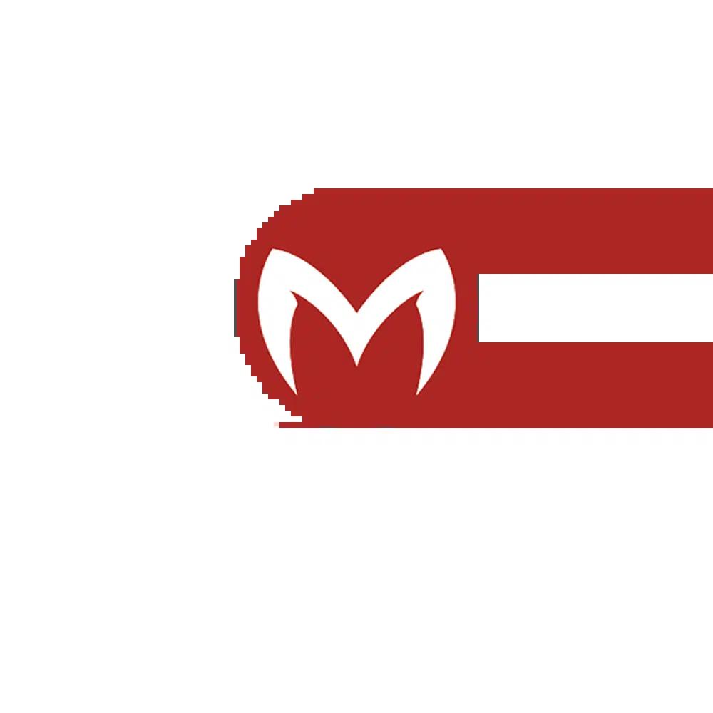 สล็อต ฝาก ถอน true wallet เว็บ ตรง ล่าสุด พร้อมโปรโมชั่นพิเศษ